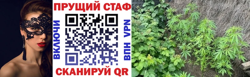 Магазины продажи наркотиков Малмыж Амфетамин  COCAIN  Гашиш  Кетамин  А ПВП  Конопля 